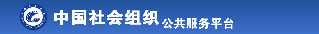 真人几几插bb动态视频全国社会组织信息查询